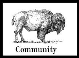 Image of a bison that links to community.